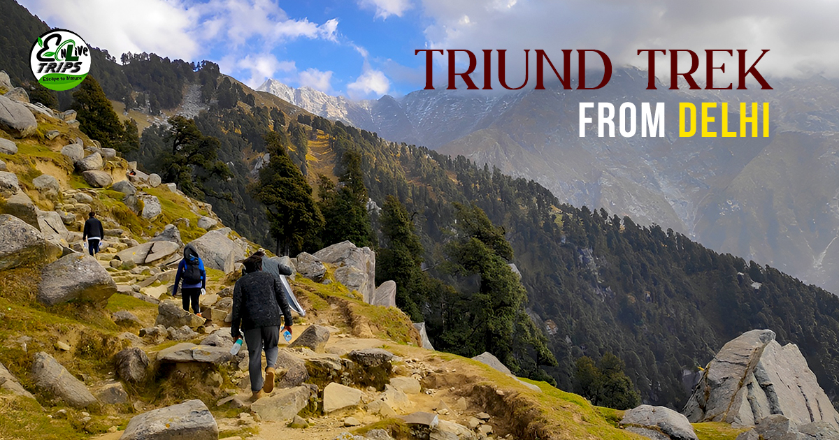 Mcleodganj to Triund trek